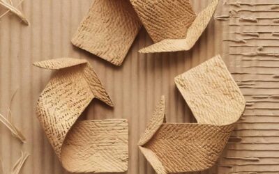 La importancia de elegir empaques ecológicos en la industria alimentaria moderna